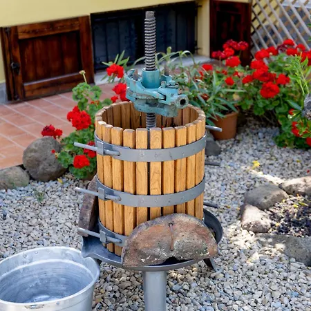 Vila Saige , Piscina Con Idromassaggio