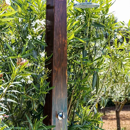 Saige , Piscina Con Idromassaggio Vila