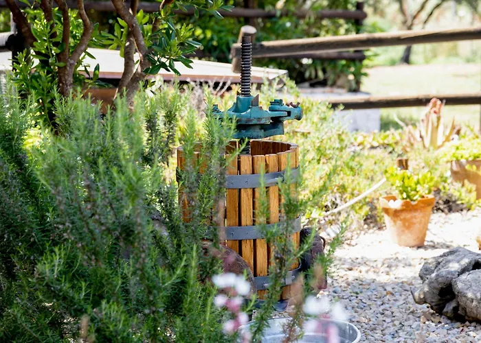 Villa Saige , Piscina Con Idromassaggio Alghero