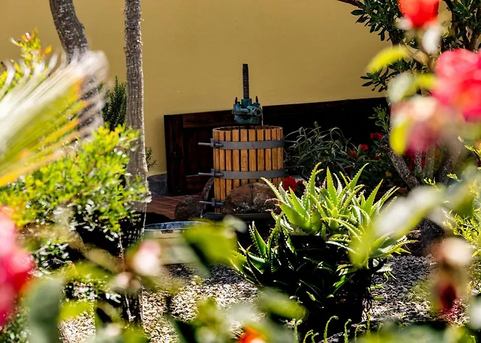 Saige , Piscina Con Idromassaggio Villa Alghero