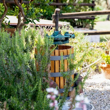 Villa Saige , Piscina Con Idromassaggio Alghero