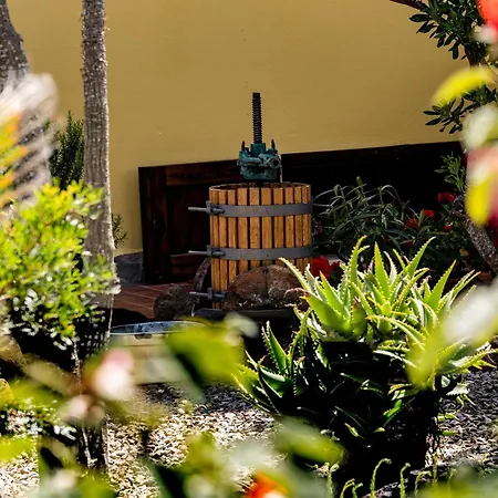 Saige , Piscina Con Idromassaggio Vila Alghero
