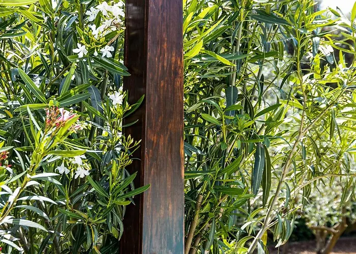 Saige , Piscina Con Idromassaggio Villa