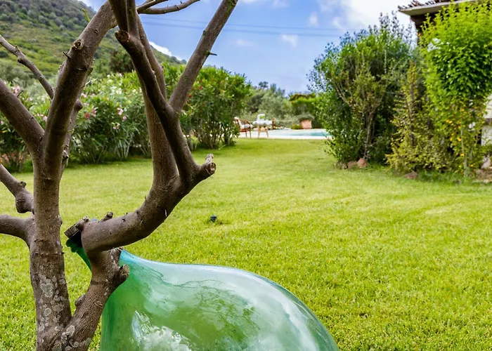 Saige , Piscina Con Idromassaggio Villa Alghero